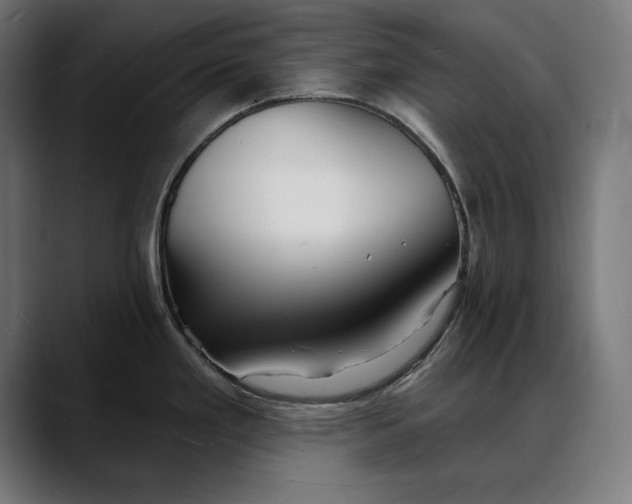 X0000088081293200705251401