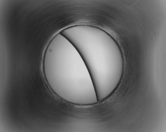 X0000088081296200705251401
