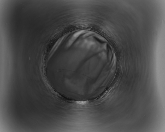 X0000088081297200705251400