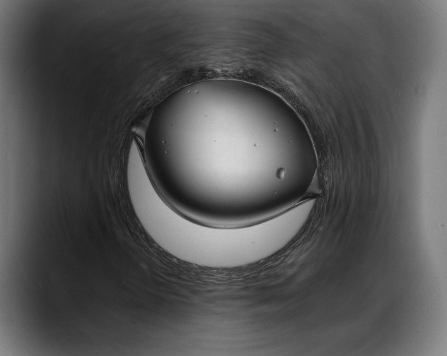X0000088081298200705251400