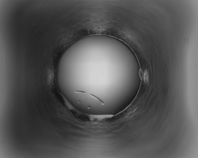 X0000088081299200705251400