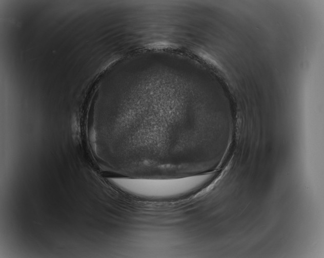 X0000088081305200705251400