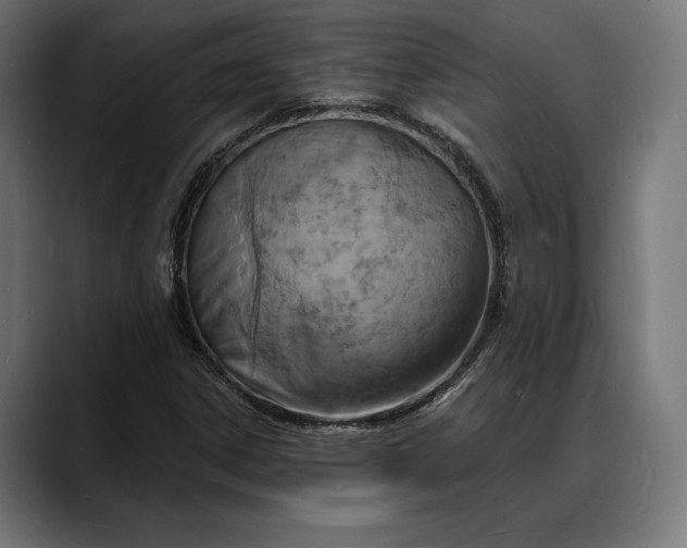 X0000088081306200705251400