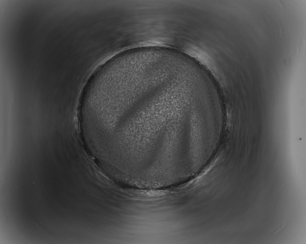 X0000088081308200705251400