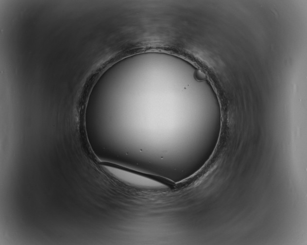 X0000088081309200705251400