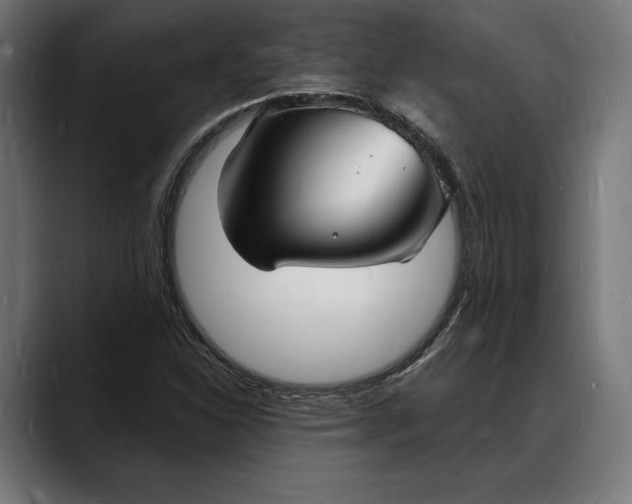 X0000088081310200705251400