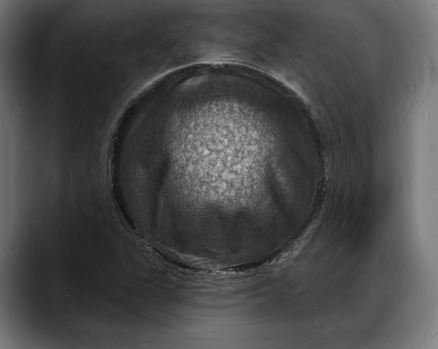 X0000088081311200705251400