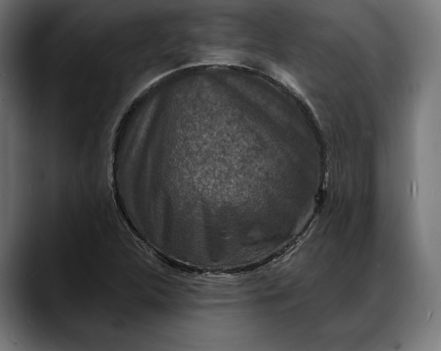 X0000088081312200705251400