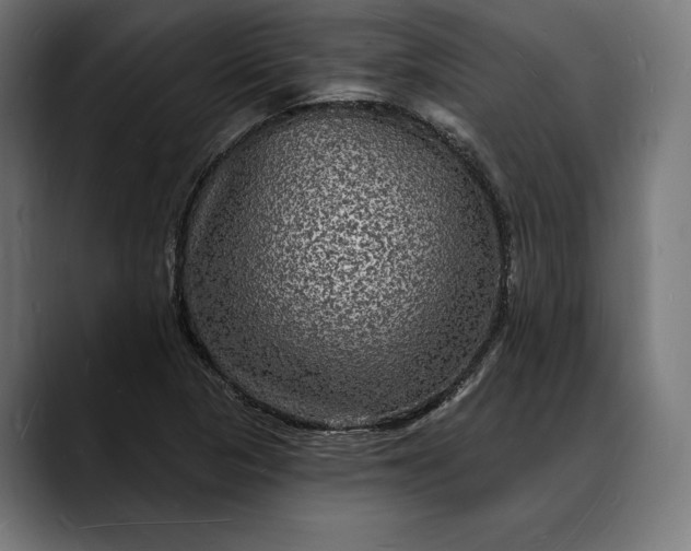 X0000088081313200705251400