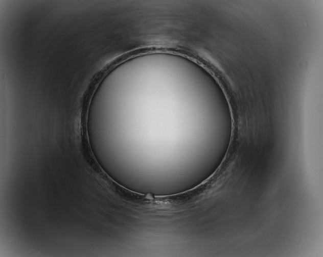 X0000088081315200705251400