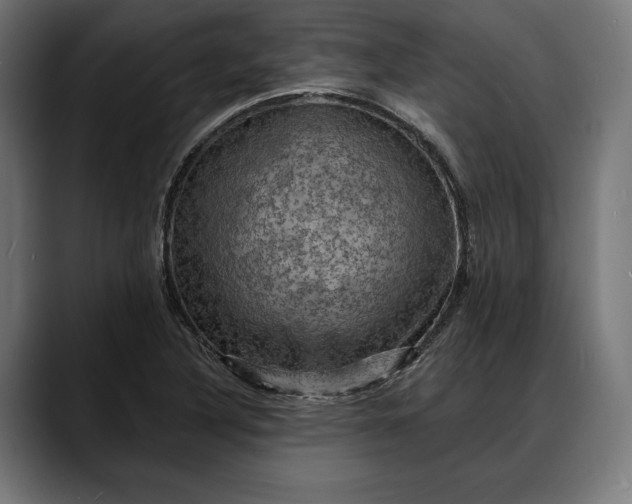 X0000088081316200705251400