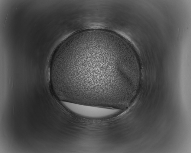X0000088081317200705251400