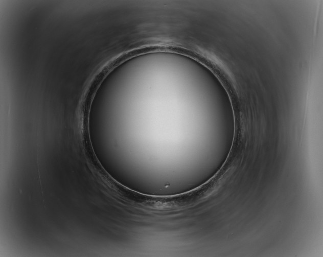 X0000088081318200705251400