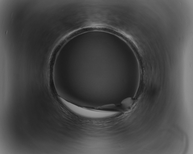X0000088081319200705251400