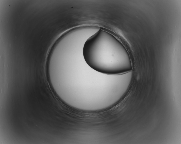 X0000088081320200705251400