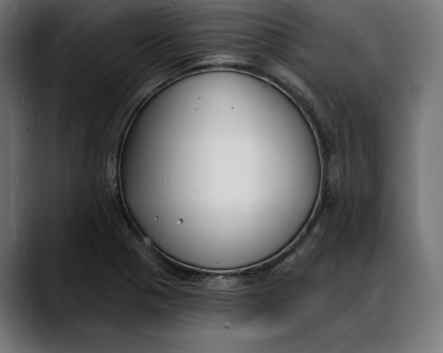 X0000088081321200705251400