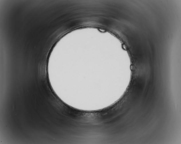 X0000088081322200705251400