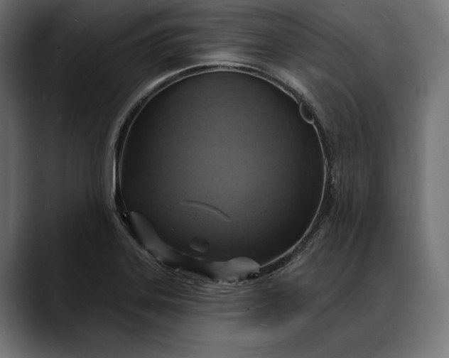 X0000088081323200705251400