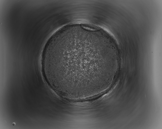 X0000088081325200705251400