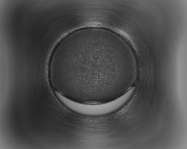 X0000088081326200705251400