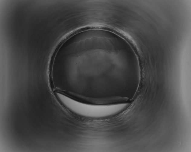 X0000088081327200705251400