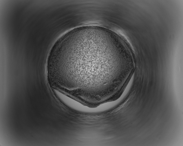 X0000088081328200705251400