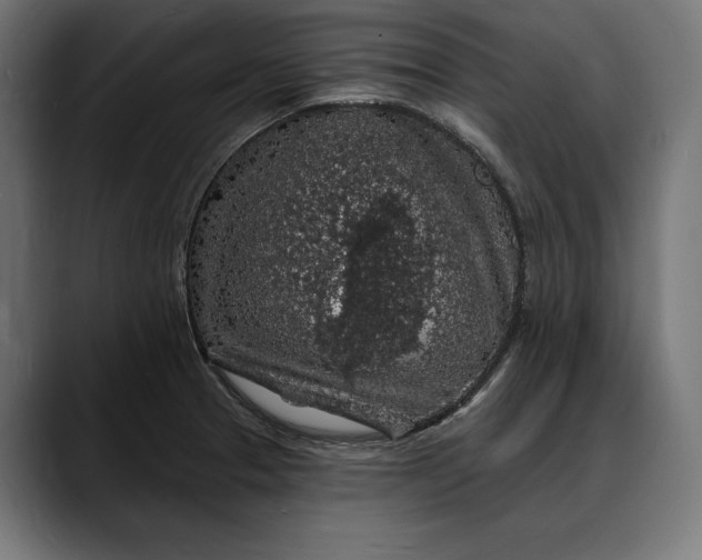 X0000088081329200705251400