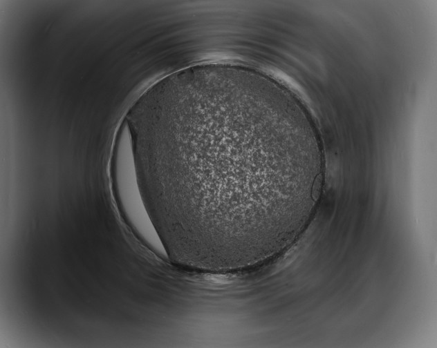 X0000088081330200705251400