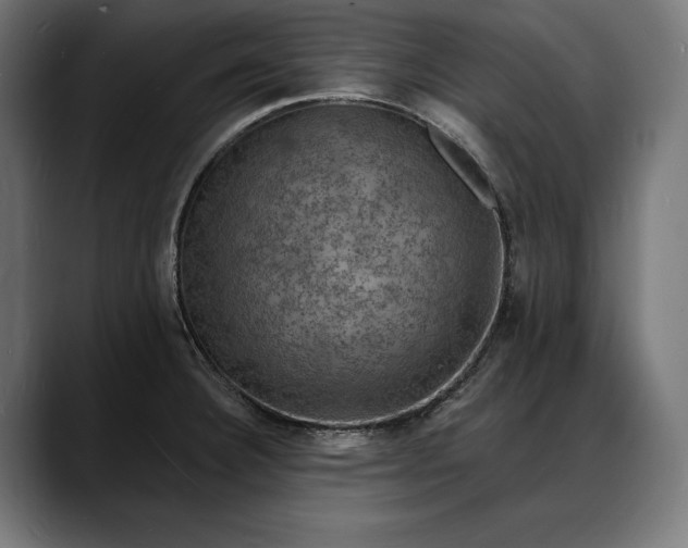 X0000088081332200705251400