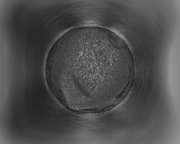 X0000088081333200705251400