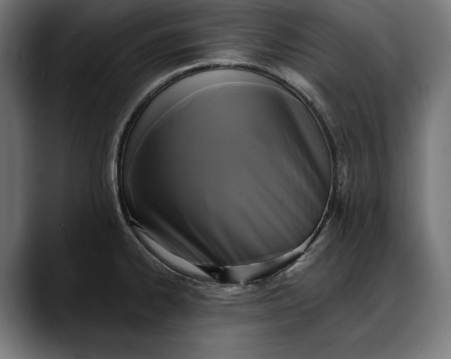 X0000088081334200705251400
