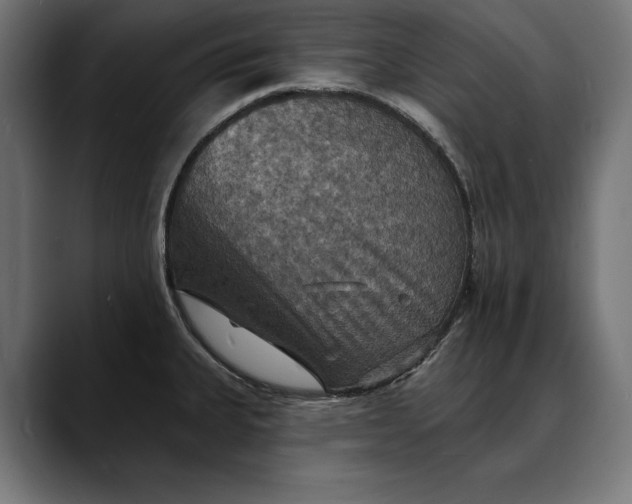 X0000088081335200705251400