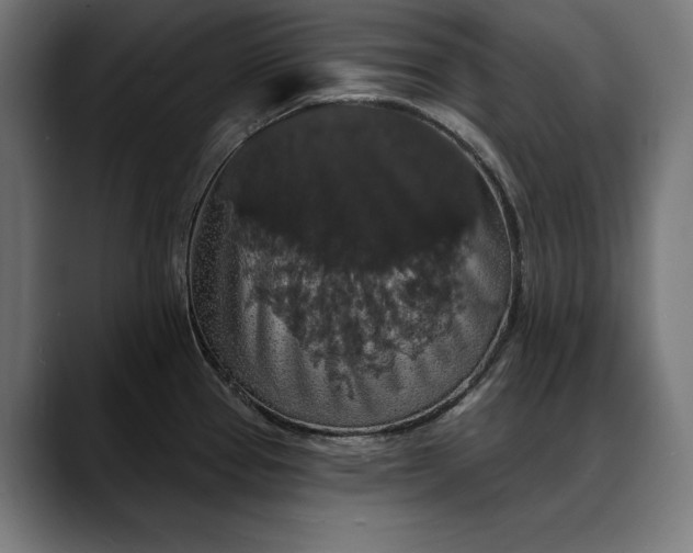 X0000088081337200705251400