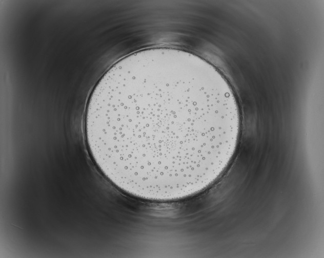 X0000088081338200705251401