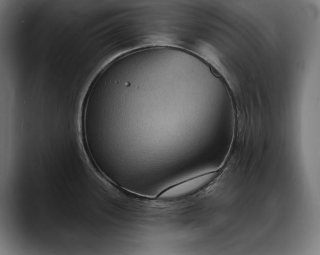 X0000088081339200705251401