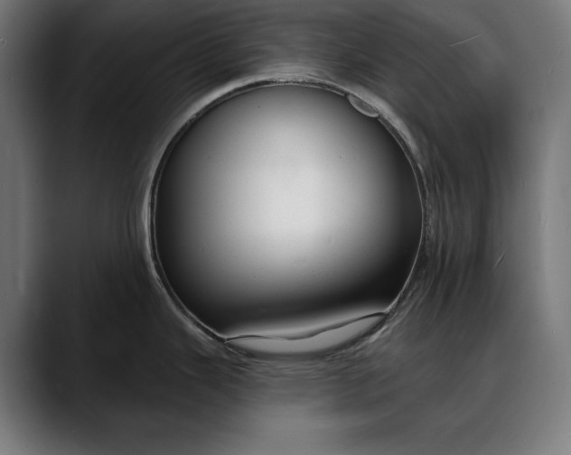 X0000088081343200705251401