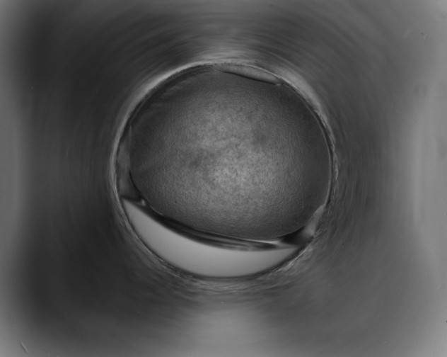 X0000088081344200705251401
