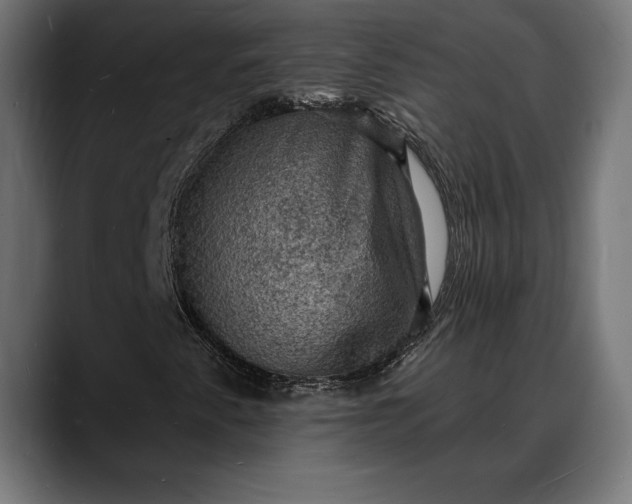 X0000088081345200705251400