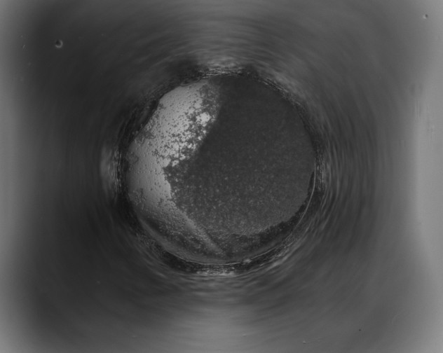 X0000088081346200705251400