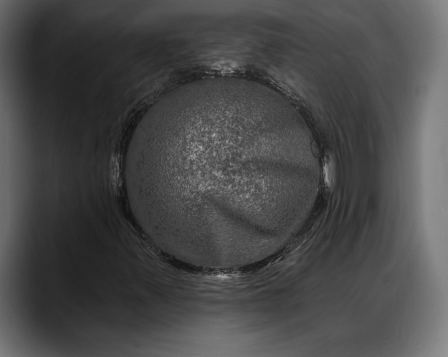 X0000088081347200705251400