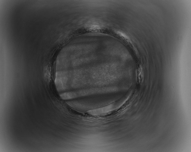 X0000088081348200705251400