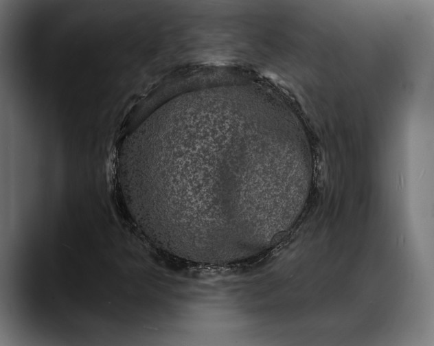 X0000088081349200705251400