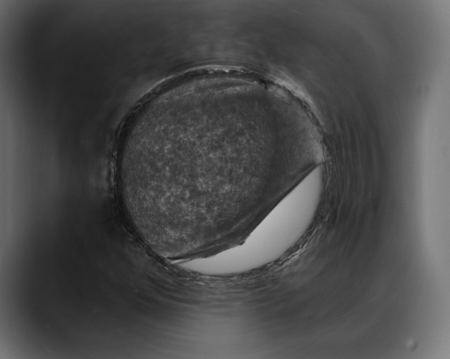 X0000088081352200705251400