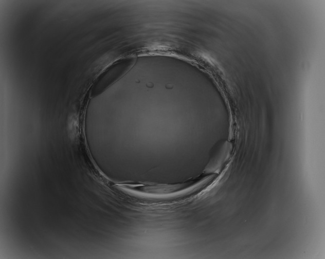 X0000088081353200705251400