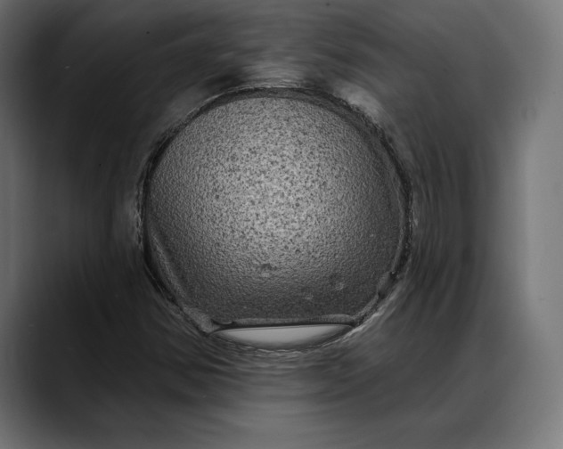X0000088081354200705251400