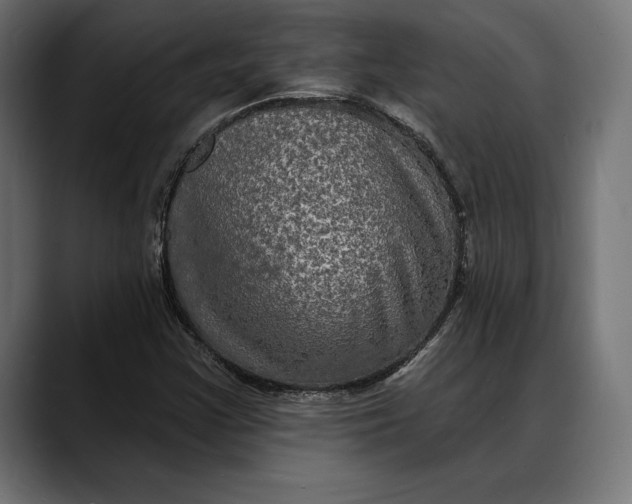X0000088081355200705251400