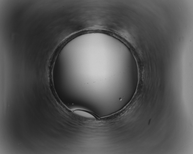 X0000088081356200705251400