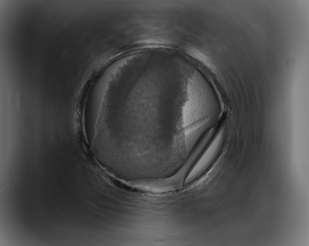 X0000088081357200705251400