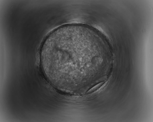 X0000088081358200705251400