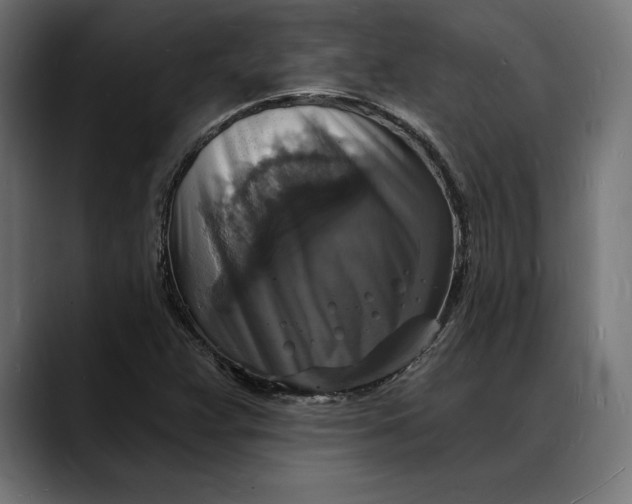 X0000088081359200705251400